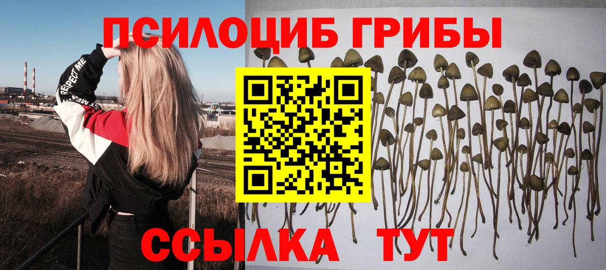 Галлюциногенные грибы Magic Shrooms  Вход с VPN  Ржев  Псилоцибиновые грибы Cubensis 
