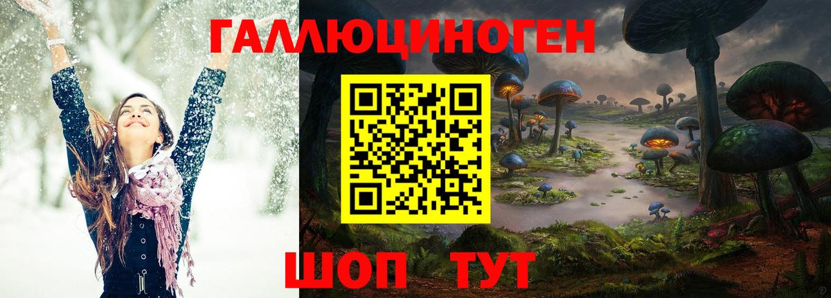 Галлюциногенные грибы GOLDEN TEACHER Ржев